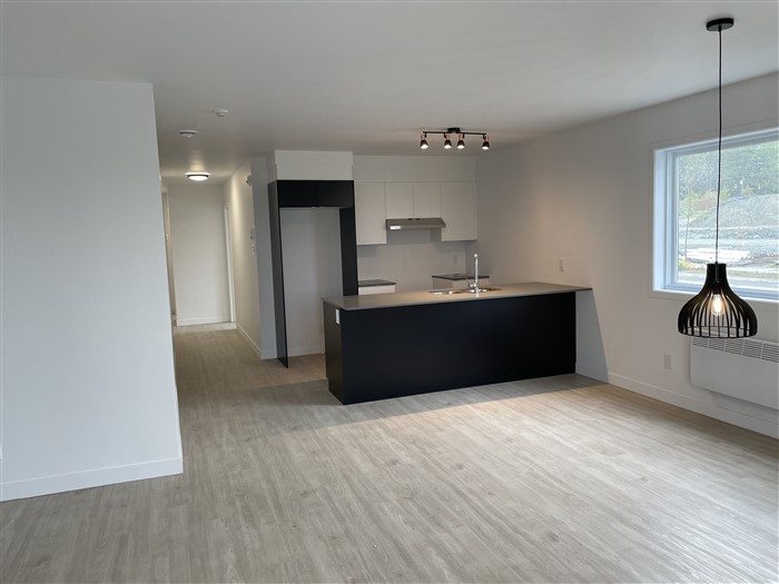 Grand 4½ (juillet), 203820, rue Lamarche, Sherbrooke, J1H 0M9