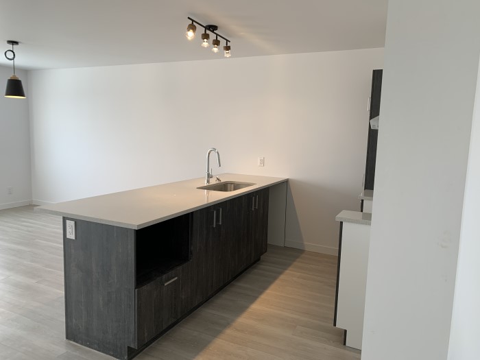 4½ (Septembre), 2332-304, Des Prospecteurs, Sherbrooke, J1H 0M4 – Image 16