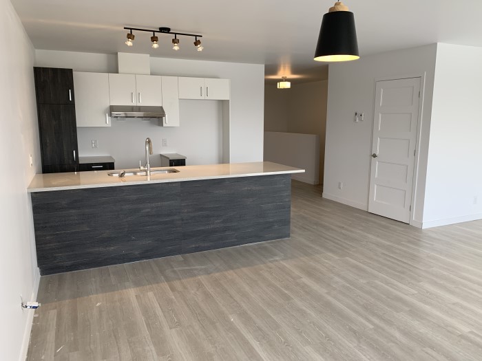 4½ (Septembre), 2332-304, Des Prospecteurs, Sherbrooke, J1H 0M4 – Image 22