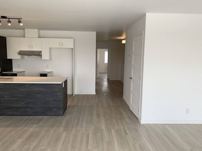 4½ (Septembre), 2332-304, Des Prospecteurs, Sherbrooke, J1H 0M4 – Image 23