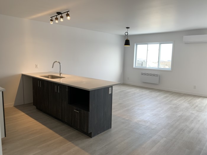 2332-305 4½ (juillet),), Des Prospecteurs, Sherbrooke, J1H 0M5 – Image 7