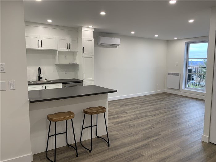 3½ rénové (décembre), 304-2000, rue Gauthier, Sherbrooke, J1H 6A5 – Image 15