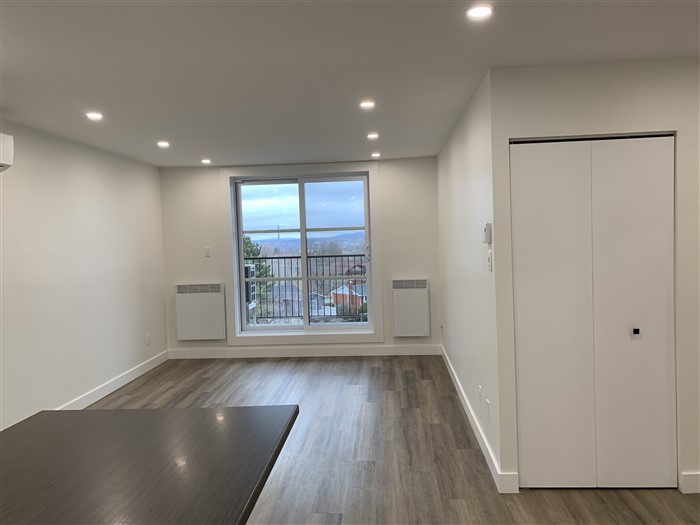 3½ rénové (décembre), 304-2000, rue Gauthier, Sherbrooke, J1H 6A5 – Image 14