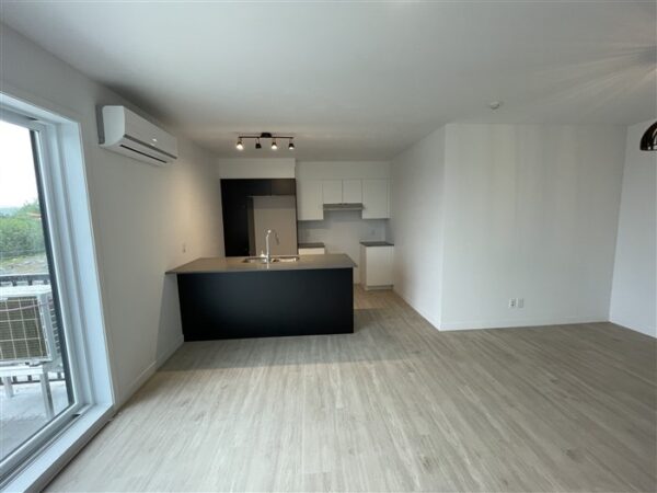 4½ (Octobre) 403-842 rue Lamarche, Sherbrooke, J1H 0M9 – Image 4