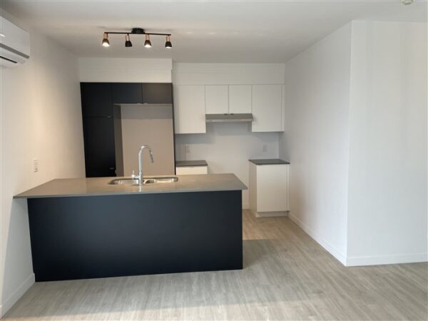 4½ (Octobre) 403-842 rue Lamarche, Sherbrooke, J1H 0M9 – Image 5