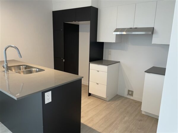 4½ (Octobre) 403-842 rue Lamarche, Sherbrooke, J1H 0M9 – Image 6