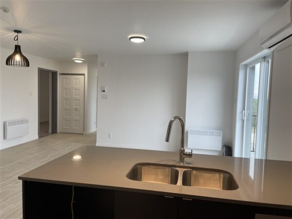4½ (Octobre) 403-842 rue Lamarche, Sherbrooke, J1H 0M9 – Image 8