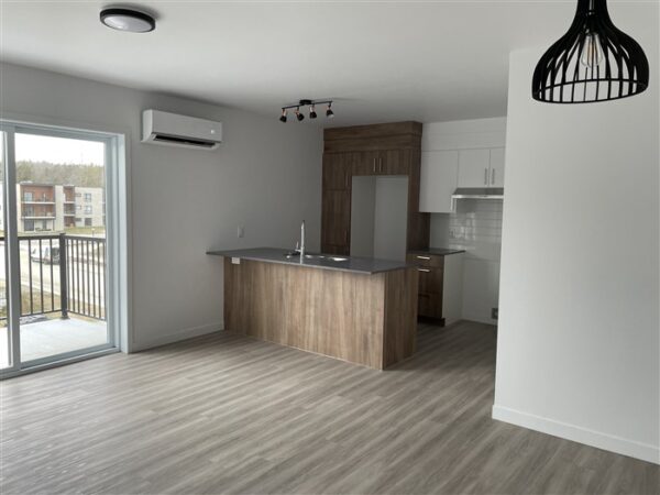 4½ (Octobre) 403-842 rue Lamarche, Sherbrooke, J1H 0M9 – Image 21