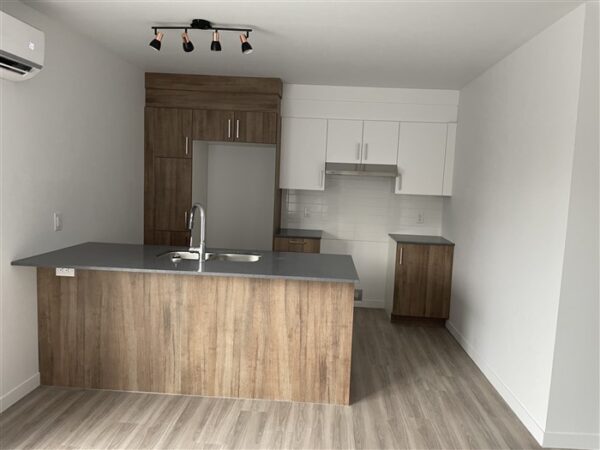 4½ (Octobre) 403-842 rue Lamarche, Sherbrooke, J1H 0M9 – Image 22