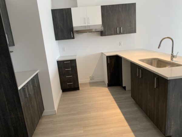4½ (septembre), 203-2351 rue Harold-Cooke, Sherbrooke, J1H 0M5 – Image 24