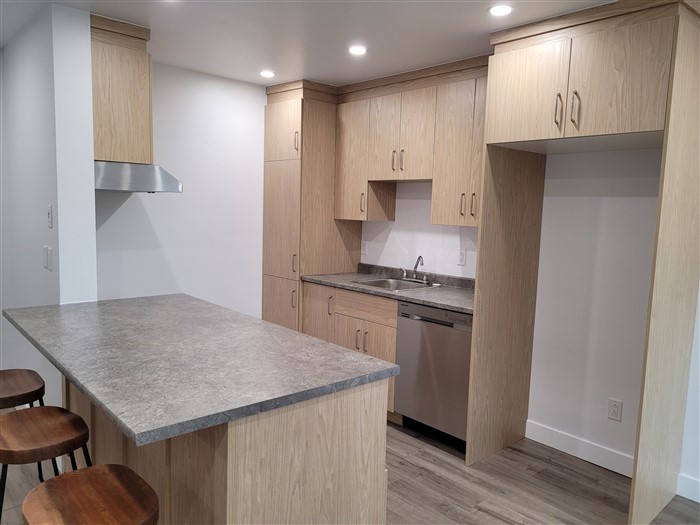 4½ 2060-207, rue Gauthier, Sherbrooke, (juillet) J1H 6A5 – Image 5