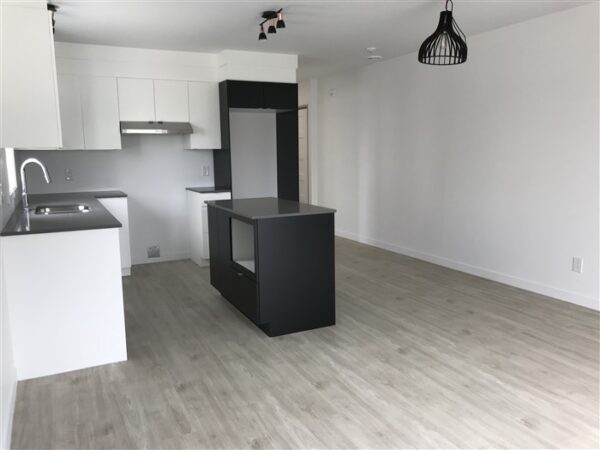 4½ (Octobre),202-820, rue Lamarche, Sherbrooke J1H 0M9 – Image 17