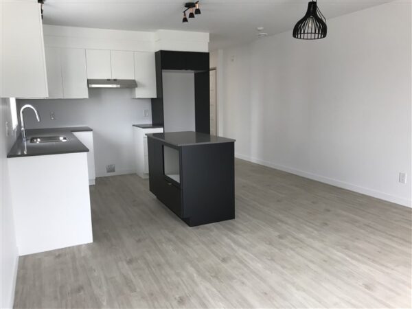 4½ (Octobre),202-820, rue Lamarche, Sherbrooke J1H 0M9 – Image 18