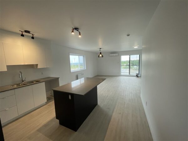 5½ (octobre), 302-886, rue Lamarche, Sherbrooke, J1H 0M9 – Image 25