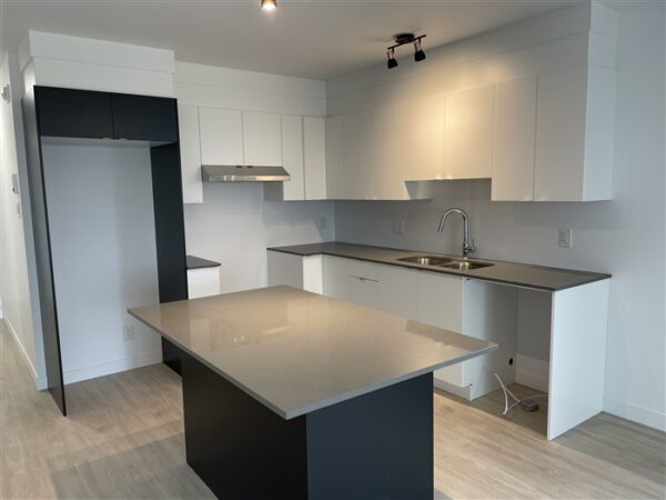 5½ (octobre), 302-886, rue Lamarche, Sherbrooke, J1H 0M9 – Image 27