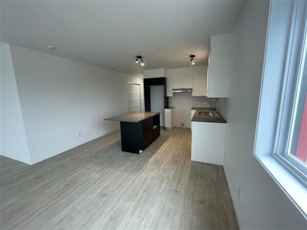 5½ (octobre), 302-886, rue Lamarche, Sherbrooke, J1H 0M9 – Image 29