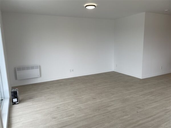 5½ (octobre), 302-886, rue Lamarche, Sherbrooke, J1H 0M9 – Image 32