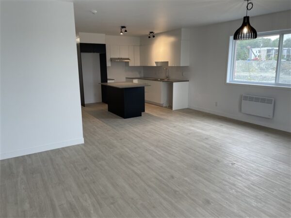 5½ (octobre), 302-886, rue Lamarche, Sherbrooke, J1H 0M9 – Image 33