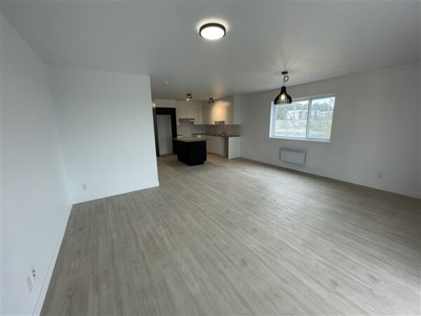 5½ (octobre), 302-886, rue Lamarche, Sherbrooke, J1H 0M9 – Image 34