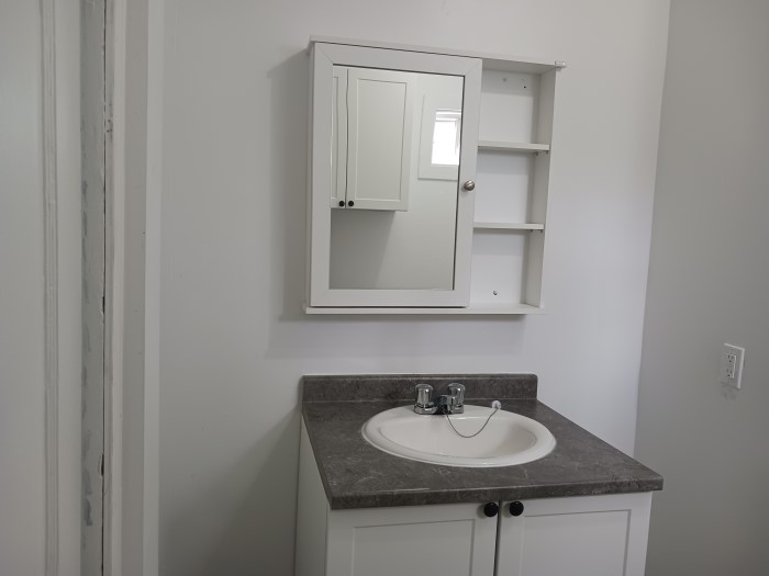 1330 KING OUEST, SHERBROOKE, J1J 2B6 (Août) – Image 9