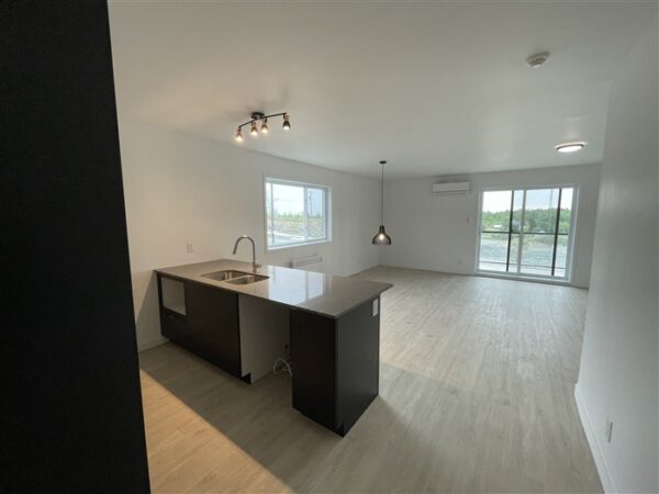 820-203 très beau 4 1/2  (Mars) rue Lamarche, Sherbrooke J1H 0M9 – Image 22