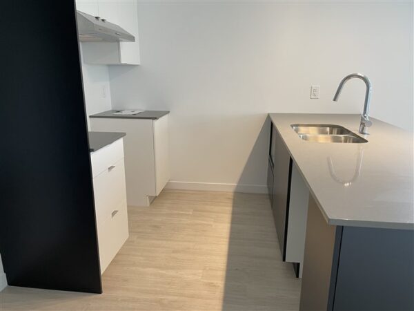 820-203 très beau 4 1/2  (Mars) rue Lamarche, Sherbrooke J1H 0M9 – Image 25