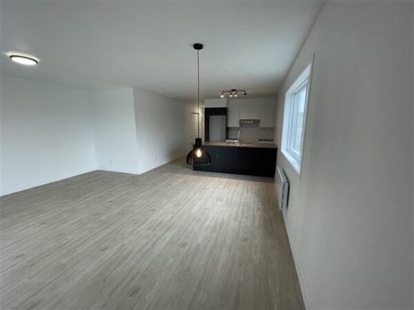 820-203 très beau 4 1/2  (Mars) rue Lamarche, Sherbrooke J1H 0M9 – Image 27