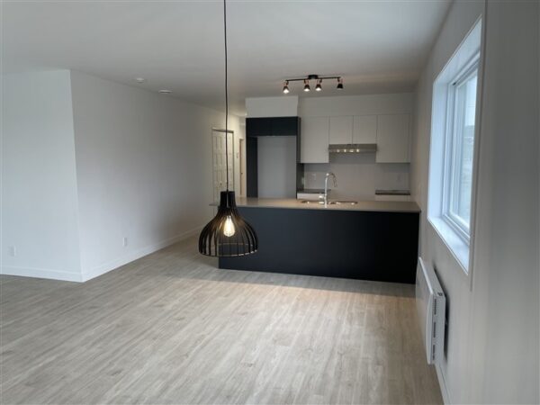 820-203 très beau 4 1/2  (Mars) rue Lamarche, Sherbrooke J1H 0M9 – Image 28