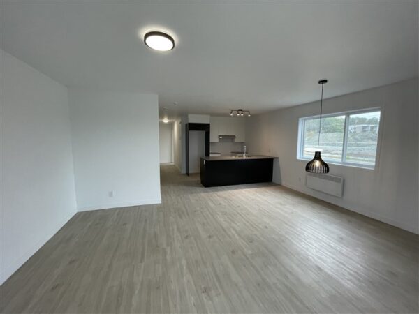 820-203 très beau 4 1/2  (Mars) rue Lamarche, Sherbrooke J1H 0M9 – Image 31