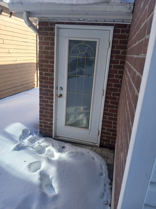 1557-1559 BELVÉDÈRE SUD (JUILLET) SHERBROOKE, J1H 4E4 – Image 40