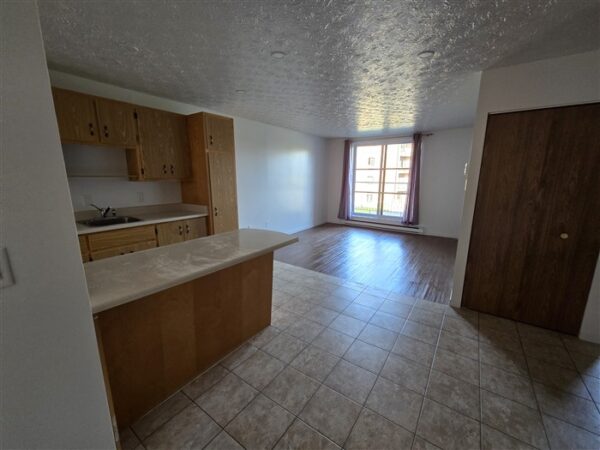 2020-204 (vacant) rue Gauthier Grand 3½ Sherbrooke J1H 6A5 – Image 5