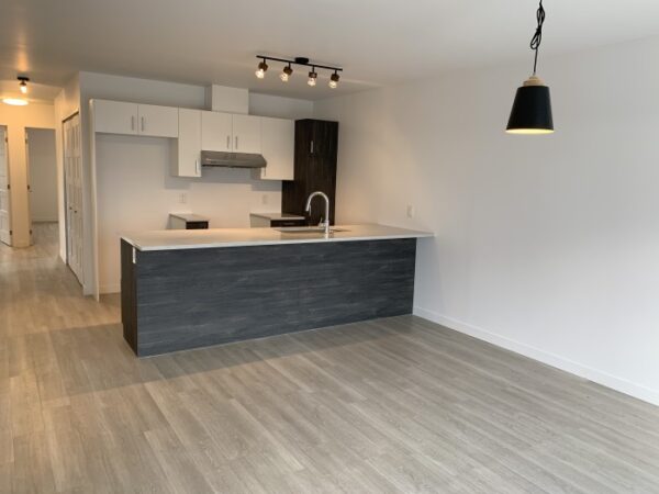 884 rue Hallée, Carré Belvédère, Sherbrooke  vacant – Image 2