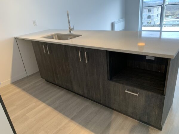 884 rue Hallée, Carré Belvédère, Sherbrooke  vacant – Image 8