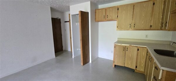 2020-209 rue Gauthier 1050$ pour Août – Image 3