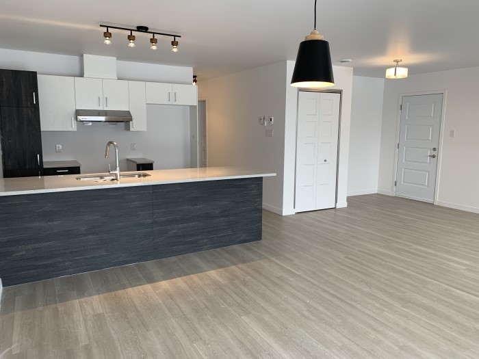 5½ (juillet) 2332-101 rue des Prospecteurs, Sherbrooke J1H 0M5 – Image 3